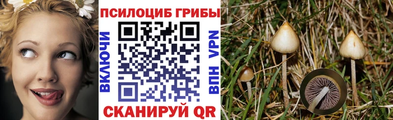 купить закладку  нарко площадка как зайти  Псилоцибиновые грибы Cubensis  Миньяр 